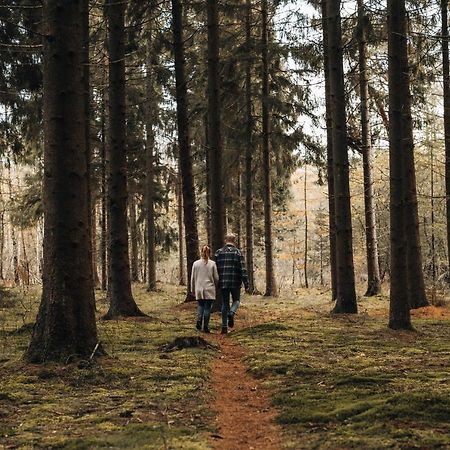 4P Chalet Tolve Met 4 Fietsen Vlakbij Natuurgebieden Drents Friese Wold, Fochteloerveen En Gevangenisdorp Veenhuizen 奥斯特沃尔德 外观 照片