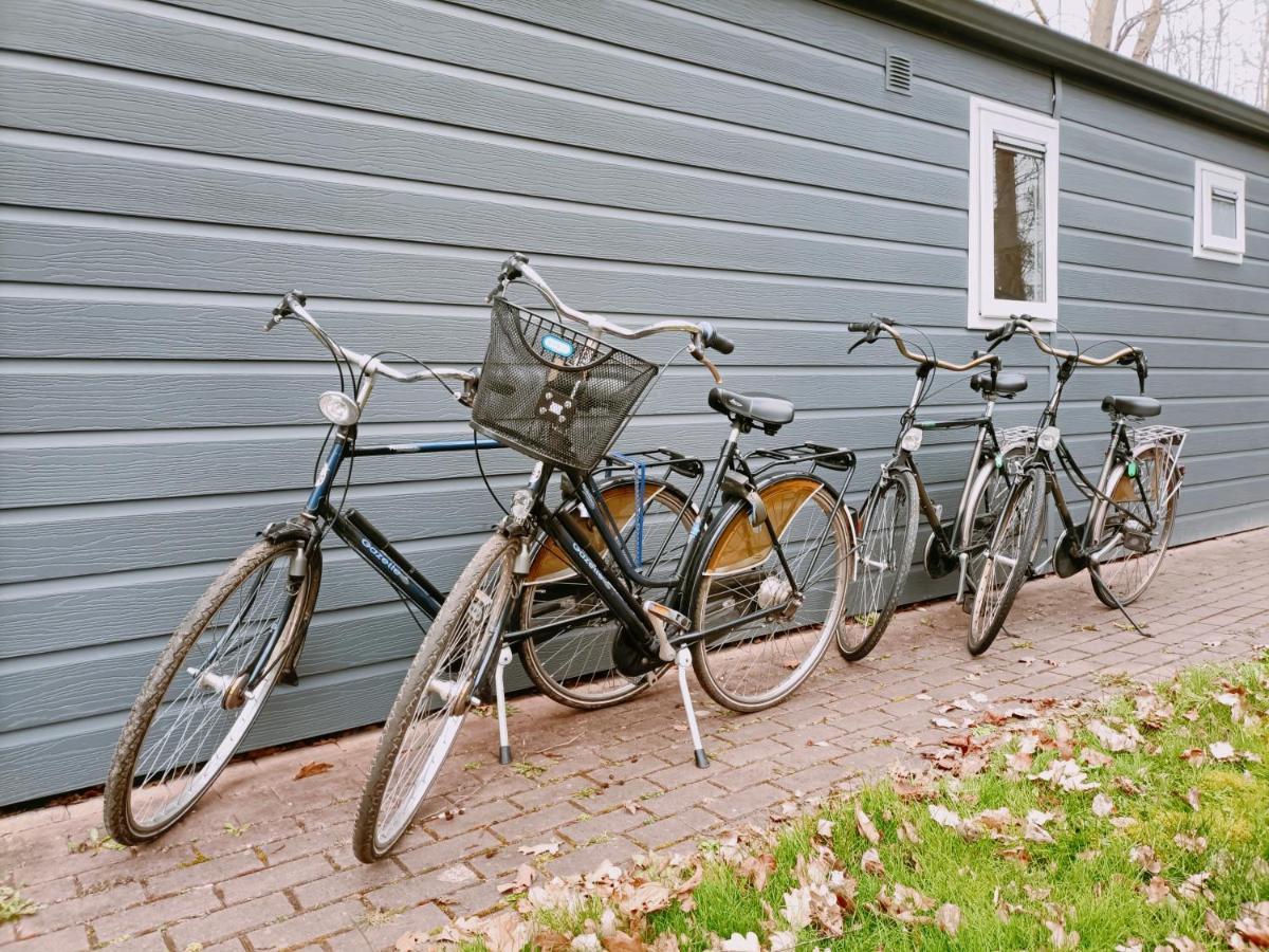 4P Chalet Tolve Met 4 Fietsen Vlakbij Natuurgebieden Drents Friese Wold, Fochteloerveen En Gevangenisdorp Veenhuizen 奥斯特沃尔德 外观 照片