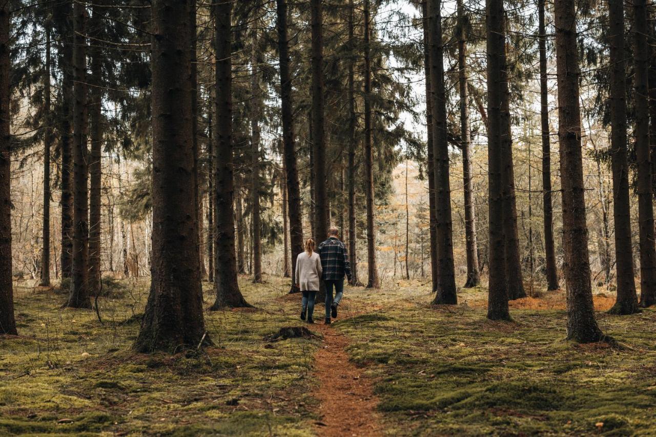4P Chalet Tolve Met 4 Fietsen Vlakbij Natuurgebieden Drents Friese Wold, Fochteloerveen En Gevangenisdorp Veenhuizen 奥斯特沃尔德 外观 照片