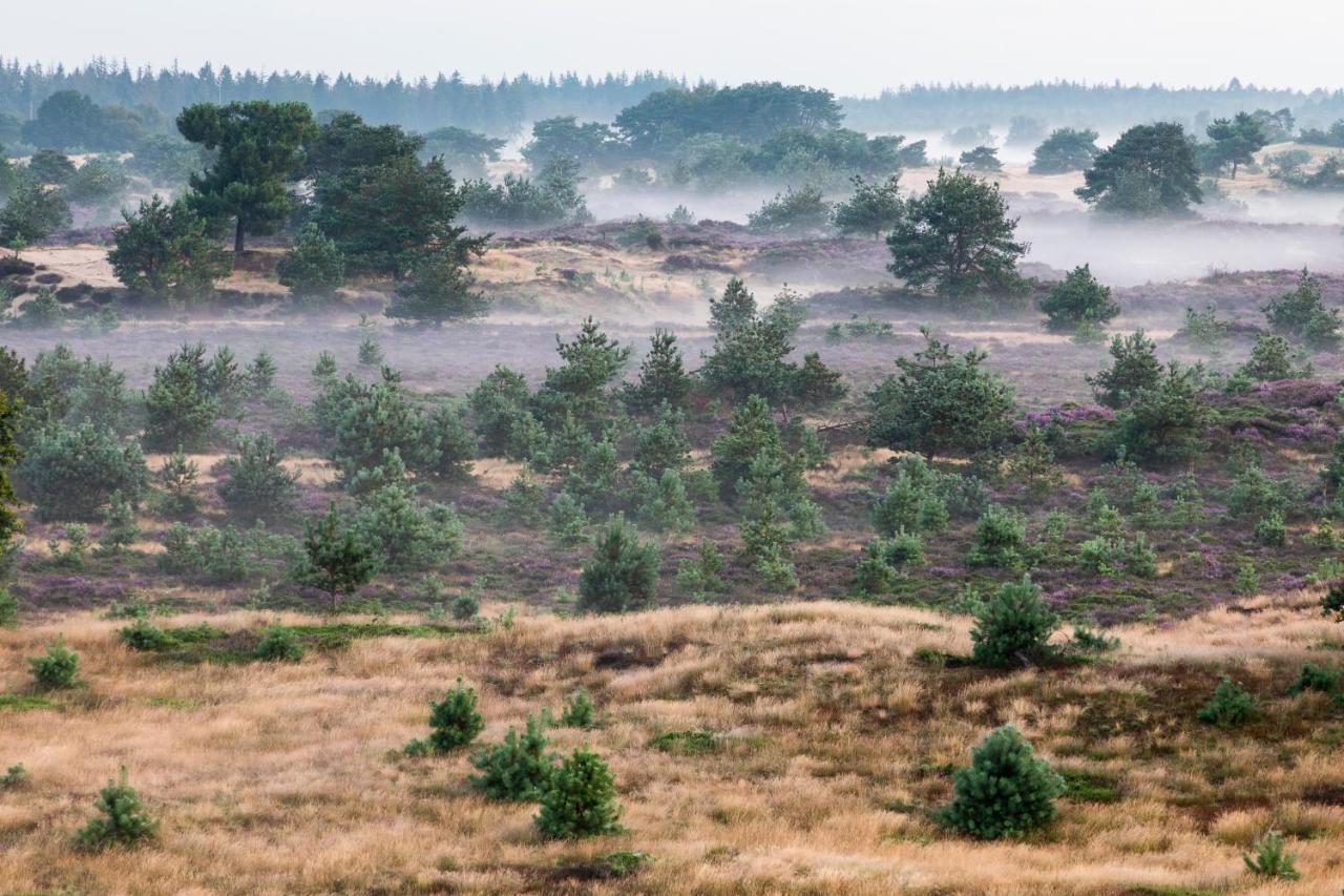 4P Chalet Tolve Met 4 Fietsen Vlakbij Natuurgebieden Drents Friese Wold, Fochteloerveen En Gevangenisdorp Veenhuizen 奥斯特沃尔德 外观 照片