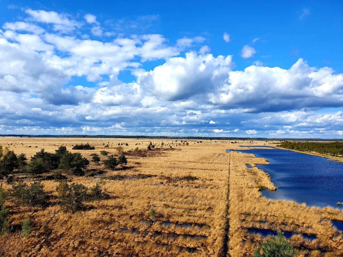 4P Chalet Tolve Met 4 Fietsen Vlakbij Natuurgebieden Drents Friese Wold, Fochteloerveen En Gevangenisdorp Veenhuizen 奥斯特沃尔德 外观 照片