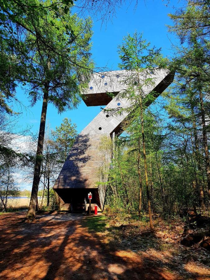 4P Chalet Tolve Met 4 Fietsen Vlakbij Natuurgebieden Drents Friese Wold, Fochteloerveen En Gevangenisdorp Veenhuizen 奥斯特沃尔德 外观 照片